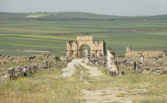 1 Day Trip to Volubilis from fes